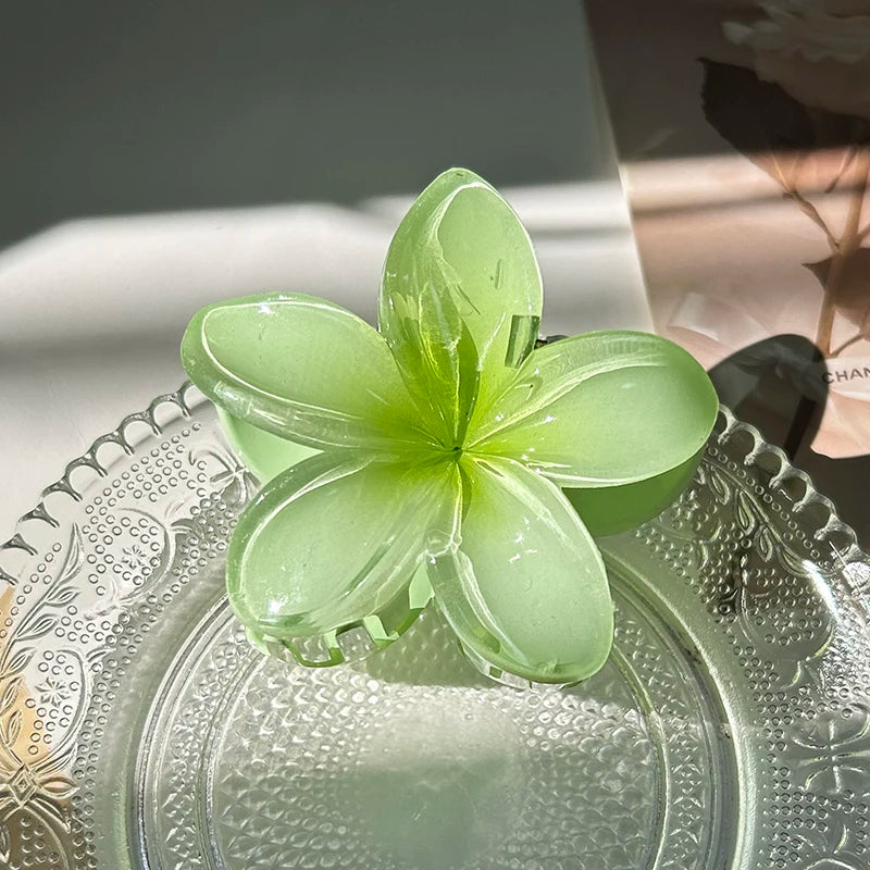 Sb06e8c8c230741b0a922c77234b0765e0