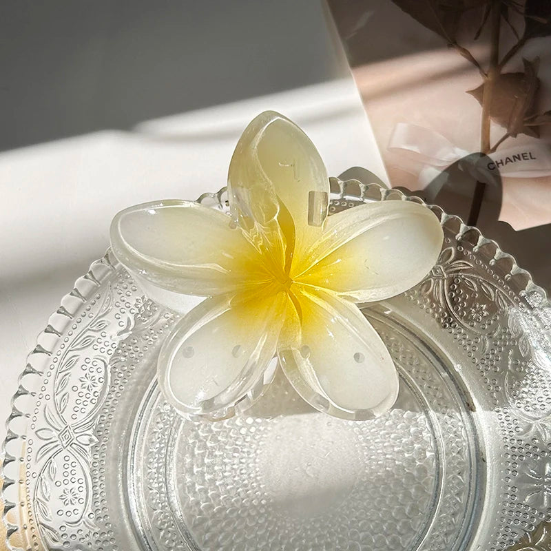 Se70cbe5d3d77404ea05279b45635df8au